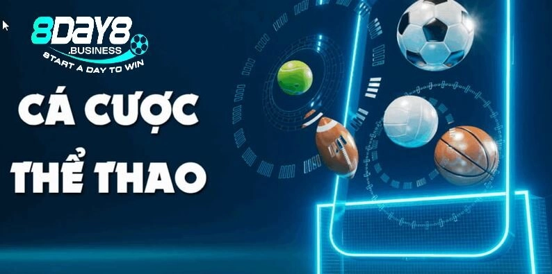 Thể thao 8day là thương hiệu chất lượng uy tín